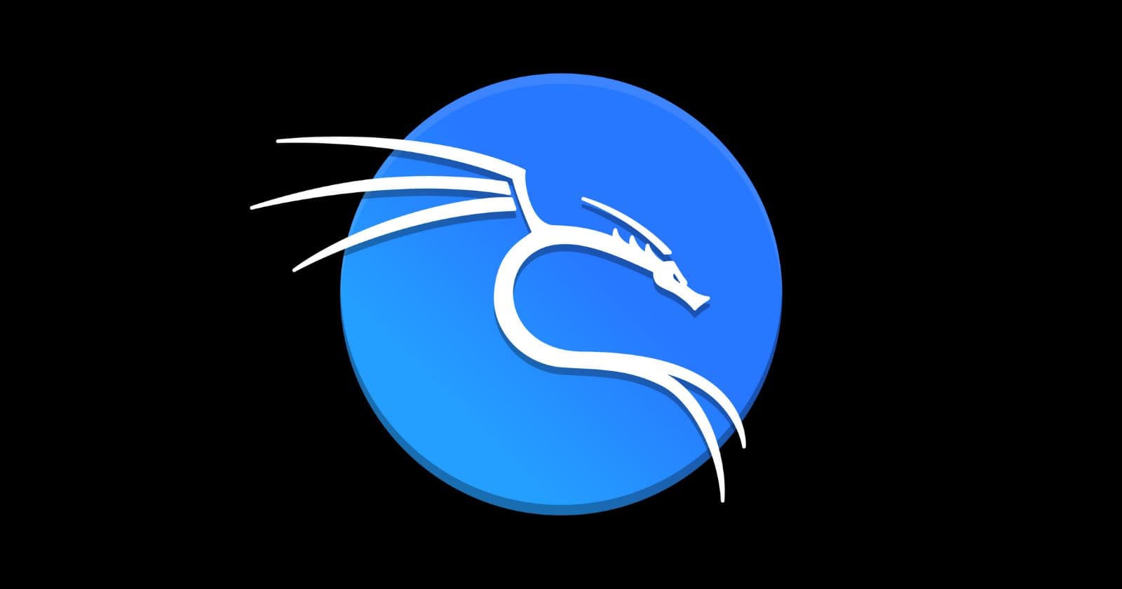 What is Kali Linux Used For?
